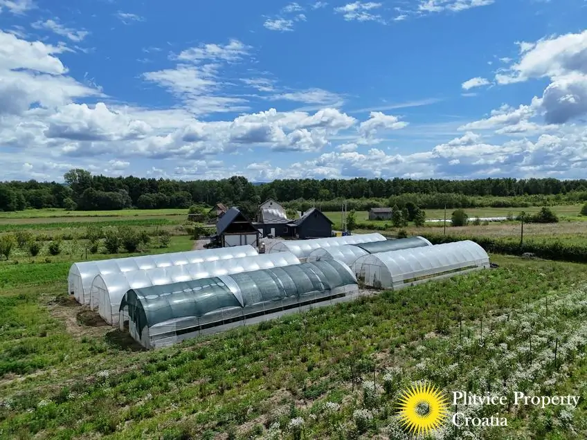 dji_fly_20250710_121324_0863_1752207348332_fotka