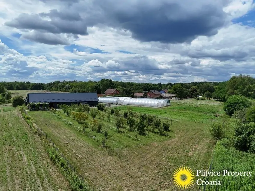 dji_fly_20250710_121344_0864_1752207347977_fotka