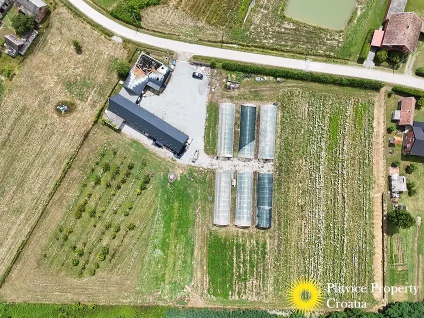 dji_fly_20250710_121650_0871_1752207338706_fotka