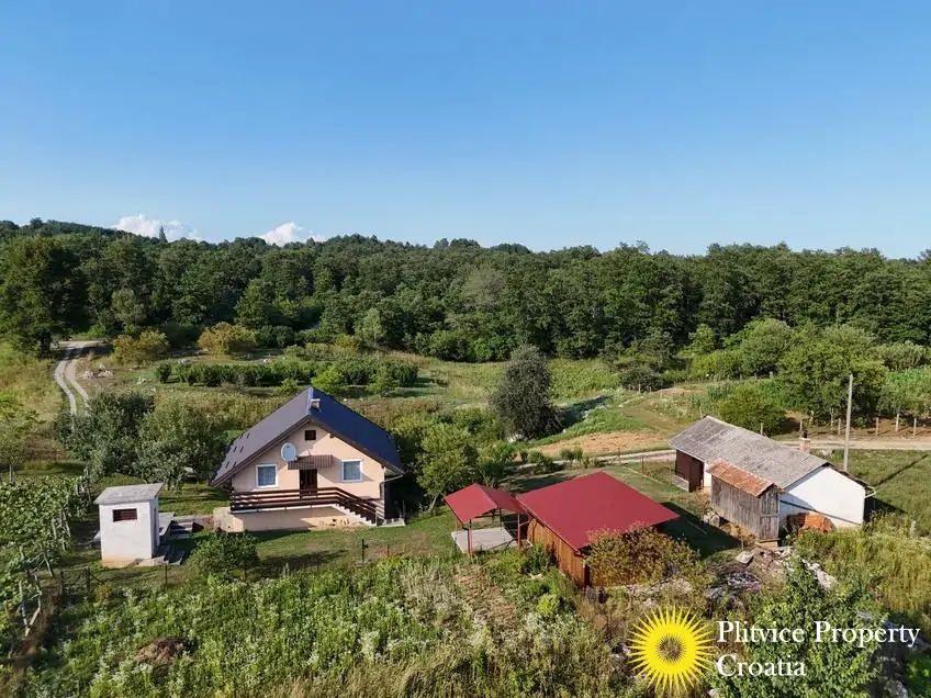 dji_fly_20250714_180658_0886_1752586565480_photo