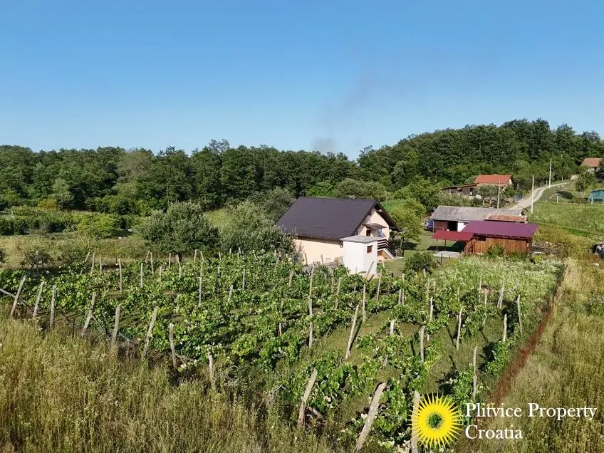 dji_fly_20250714_180720_0888_1752586564408_photo