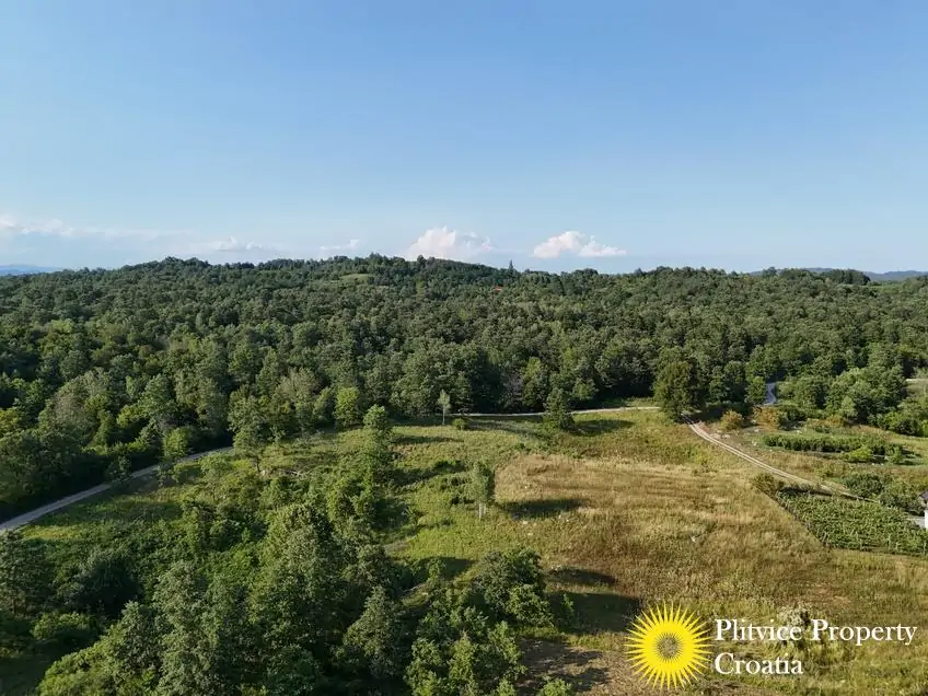 dji_fly_20250714_180740_0890_1752586563365_photo