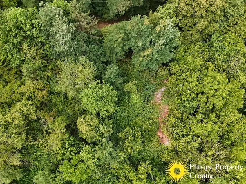 dji_fly_20250716_132052_0904_1752683949074_photo