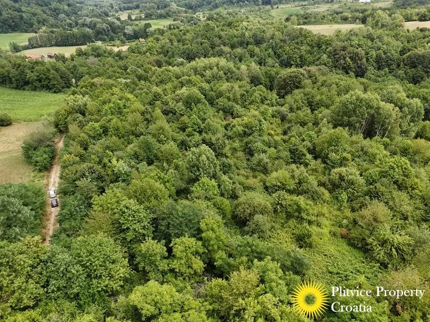 dji_fly_20250716_132104_0905_1752683948458_photo