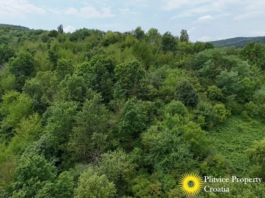 dji_fly_20250716_132122_0906_1752683947876_photo