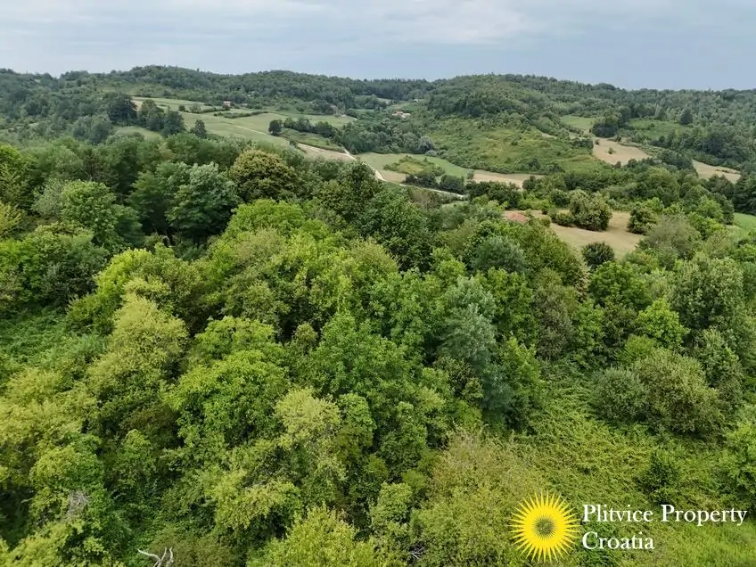 dji_fly_20250716_132128_0907_1752683947405_photo