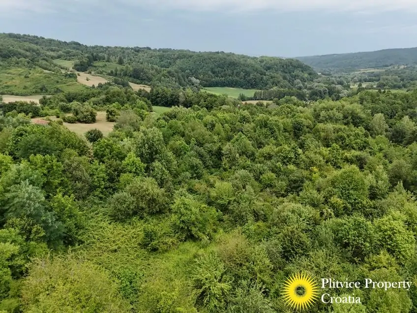 dji_fly_20250716_132134_0908_1752683946892_photo