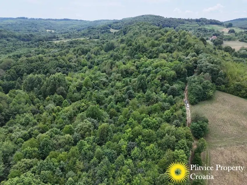 dji_fly_20250716_132218_0909_1752683946402_photo