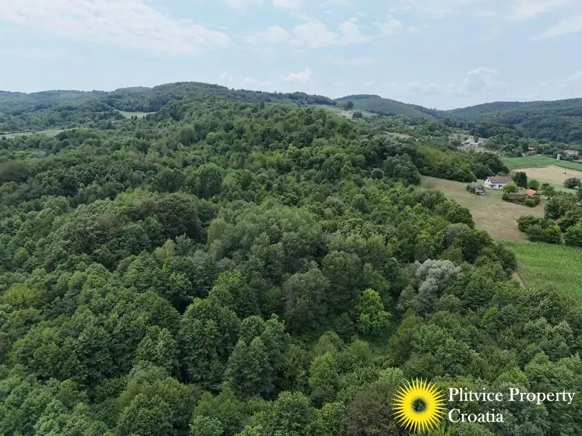 dji_fly_20250716_132254_0910_1752683945844_photo