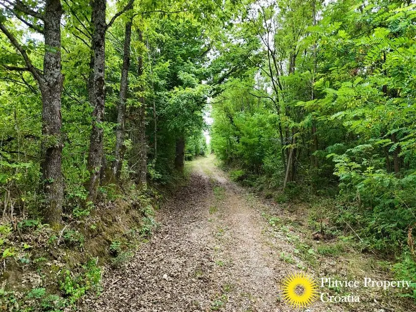 dji_fly_20250716_132428_0912_1752683939714_photo