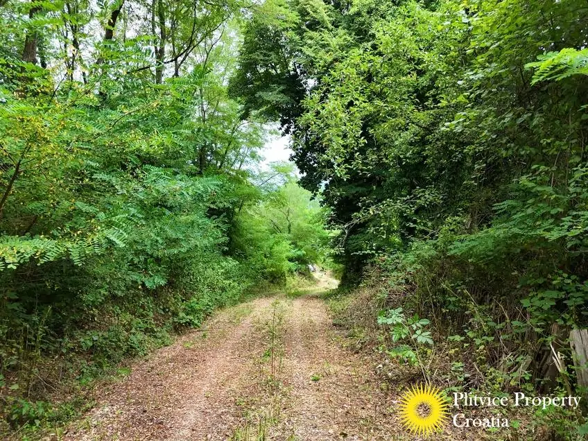 dji_fly_20250716_132454_0913_1752683939080_photo