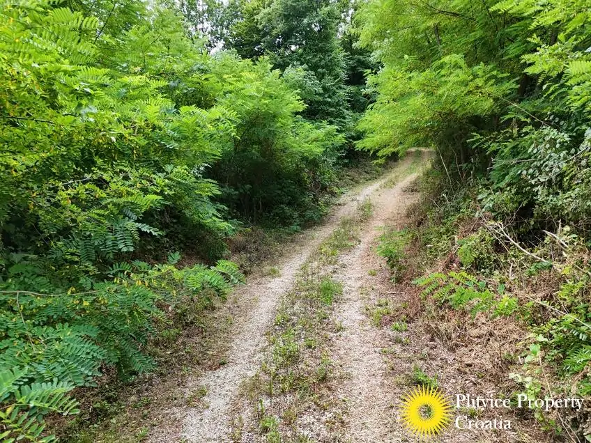 dji_fly_20250716_132646_0915_1752683931861_photo