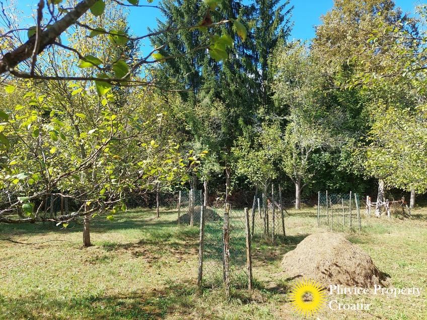 التدفق_IMG_20240910_144835_01_777