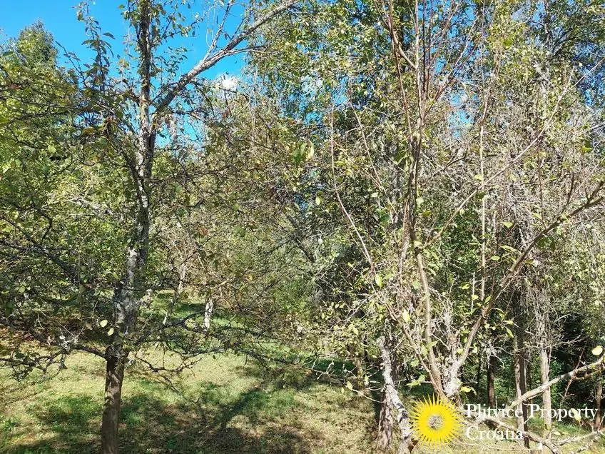 التدفق_IMG_20240910_144851_01_778