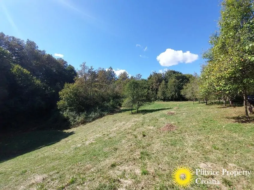 التدفق_IMG_20240910_145052_01_782