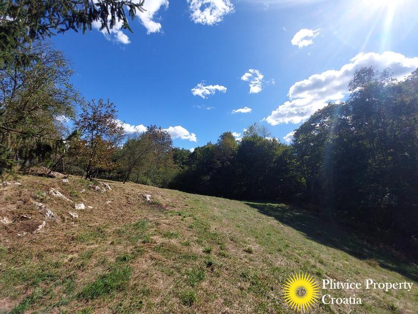 التدفق_IMG_20240910_145057_01_783