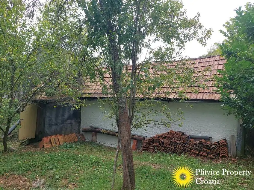 التدفق_IMG_20250828_123954_01_702