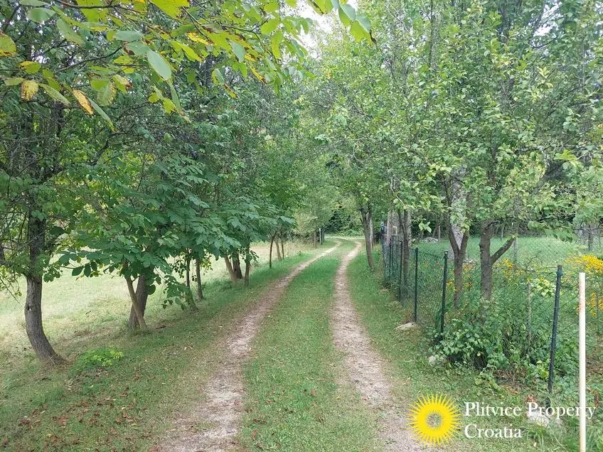 التدفق_IMG_20250828_124300_01_710