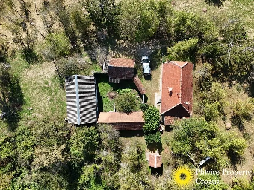 dji_fly_20240910_143324_0849_1726149533867_photo