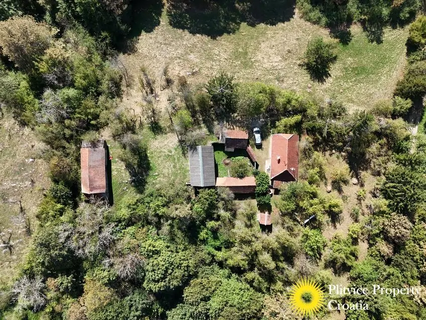 dji_fly_20240910_143342_0850_1726149533106_photo