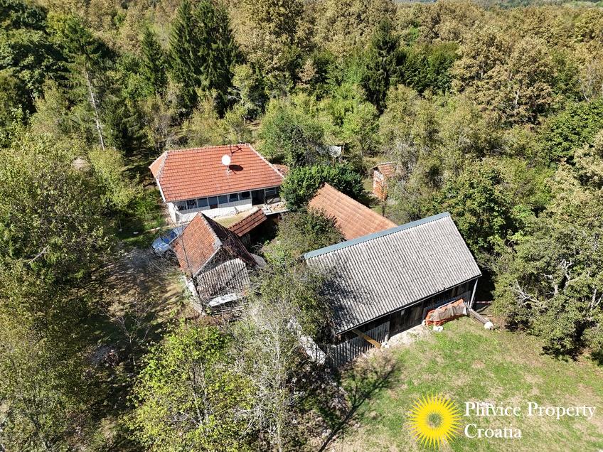 dji_fly_20240910_143452_0851_1726149532356_photo