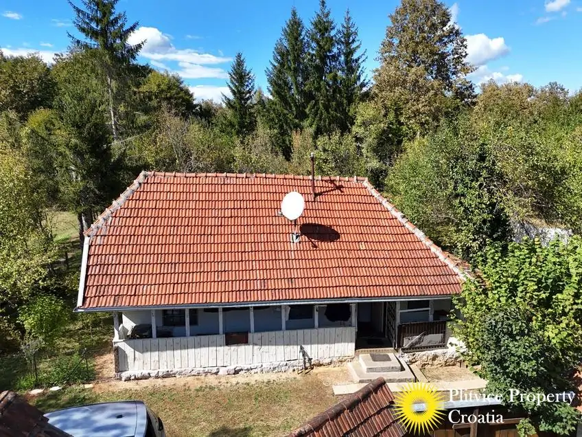 dji_fly_20240910_143518_0852_1726149531549_photo