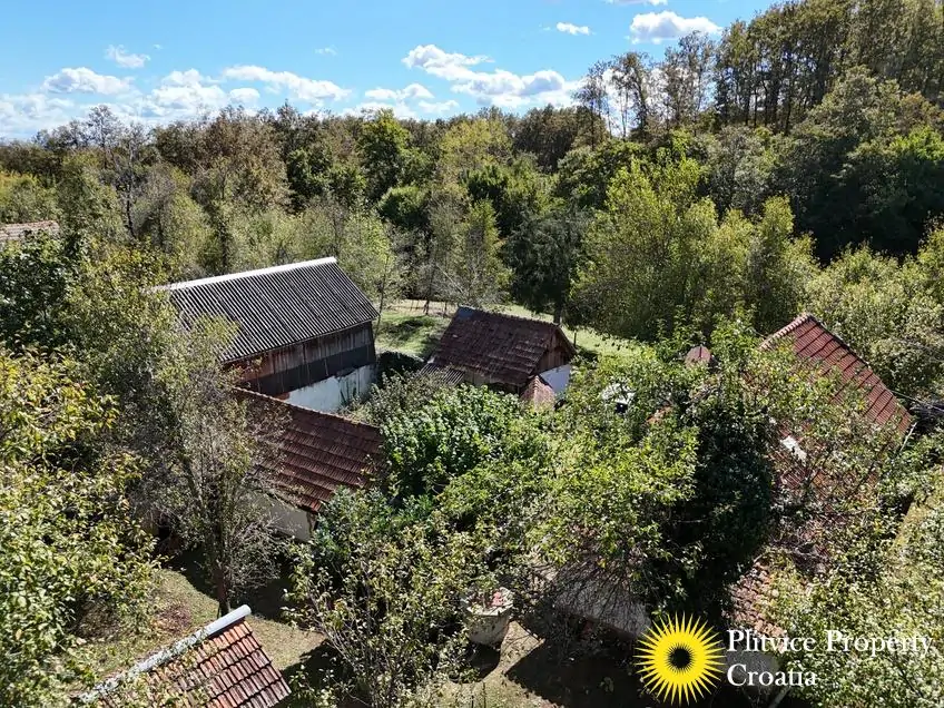 dji_fly_20240910_143616_0855_1726149529590_photo