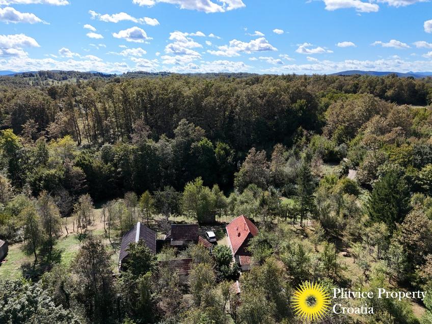 dji_fly_20240910_143642_0857_1726149528341_photo