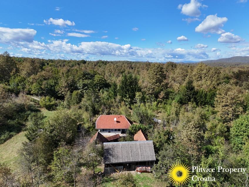 dji_fly_20240910_143838_0861_1726149525479_photo