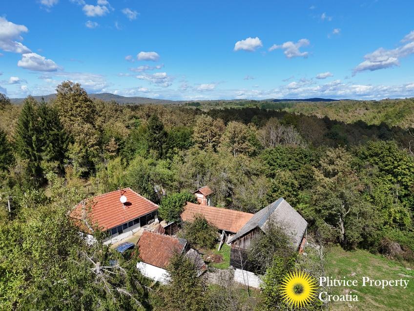 dji_fly_20240910_143858_0862_1726149524885_photo