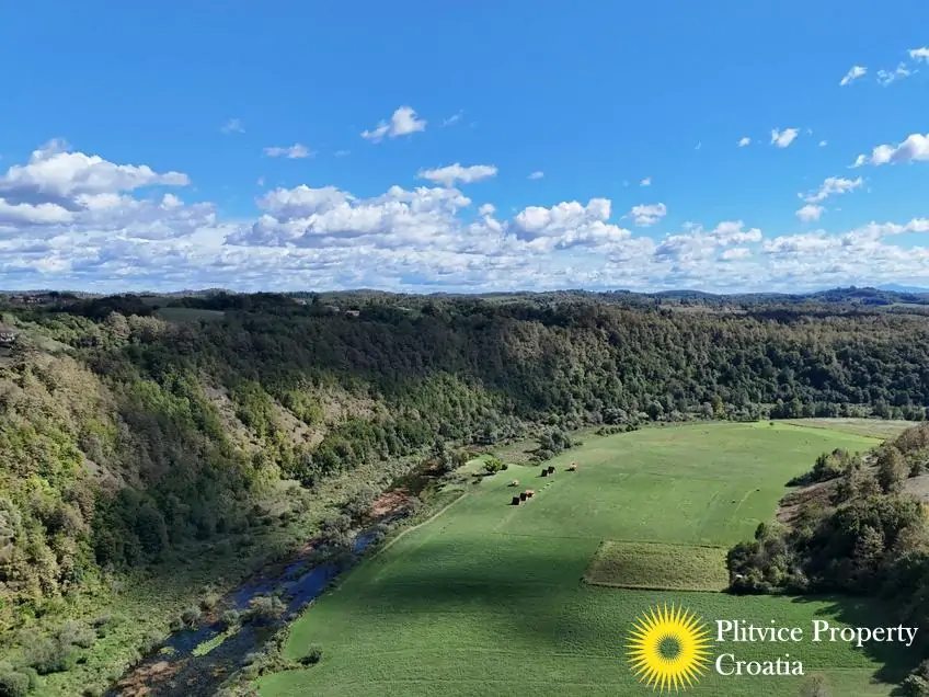 dji_fly_20240910_144152_0869_1726149521409_photo