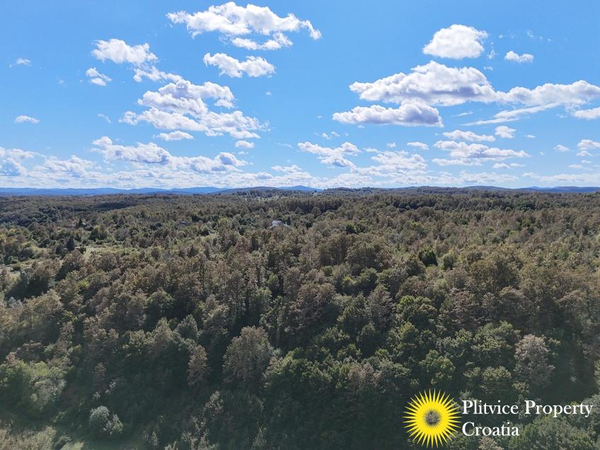 dji_fly_20240910_144210_0871_1726149520872_photo