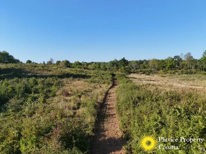 dji_fly_20250813_181700_0089_1756122780714_photo