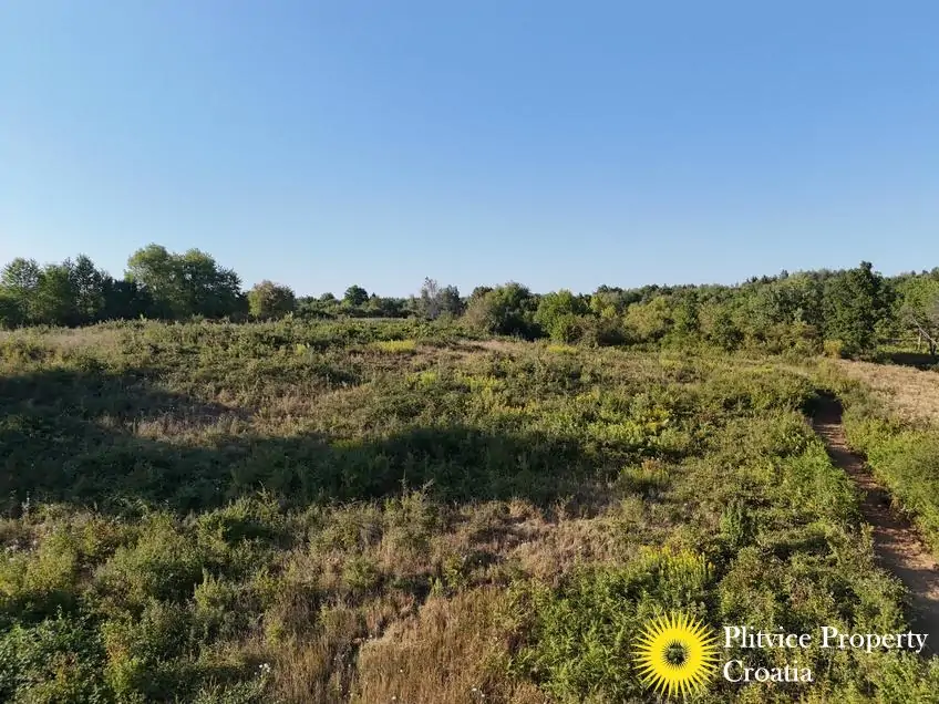 dji_fly_20250813_181708_0090_1756122780181_photo