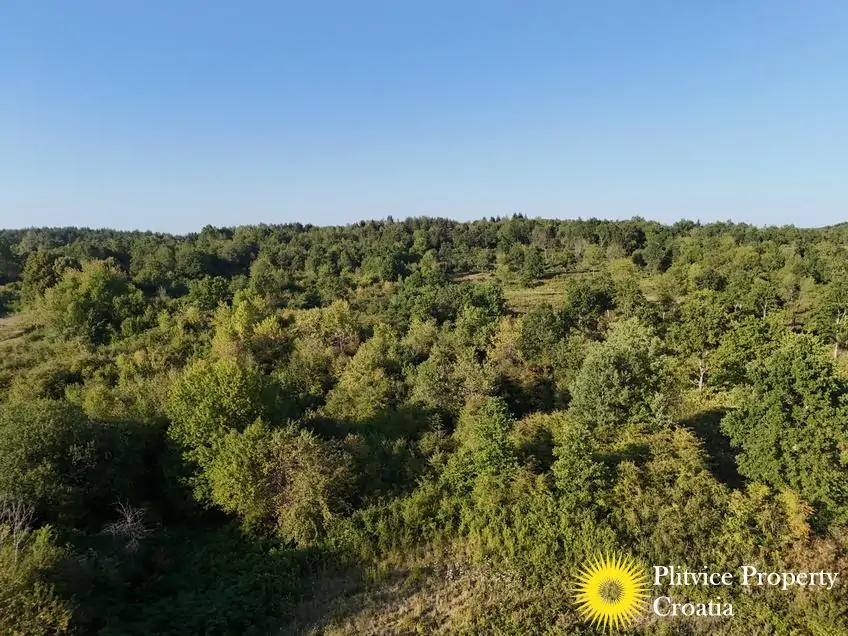 dji_fly_20250813_181728_0091_1756122779707_photo