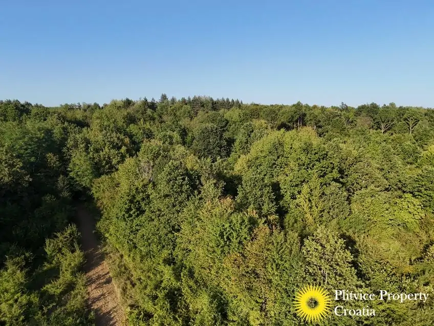 dji_fly_20250813_181814_0092_1756122779133_photo