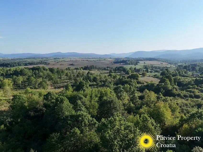 dji_fly_20250813_181858_0093_1756122778647_photo