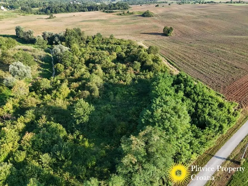 dji_fly_20250813_182142_0099_1756122775410_photo