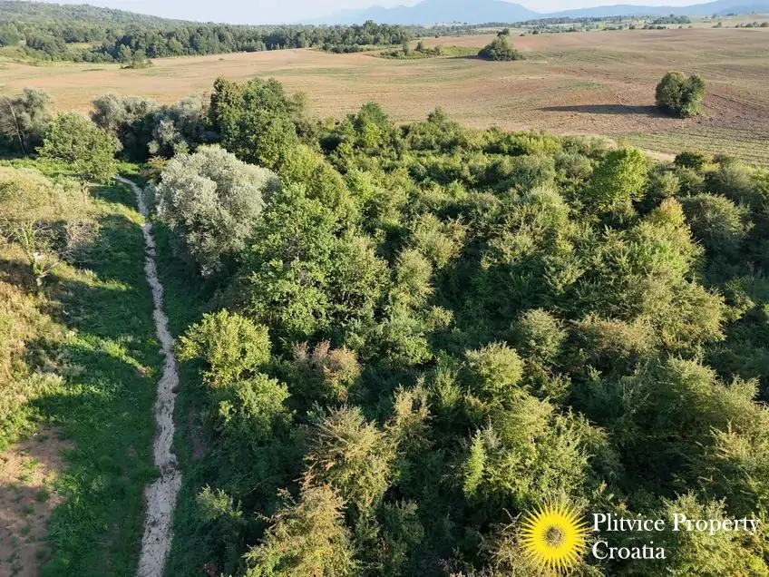 dji_fly_20250813_182154_0100_1756122774887_photo