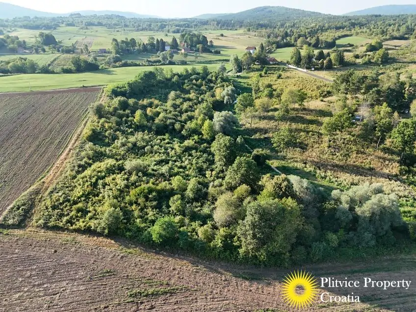 dji_fly_20250813_182332_0102_1756122773281_photo