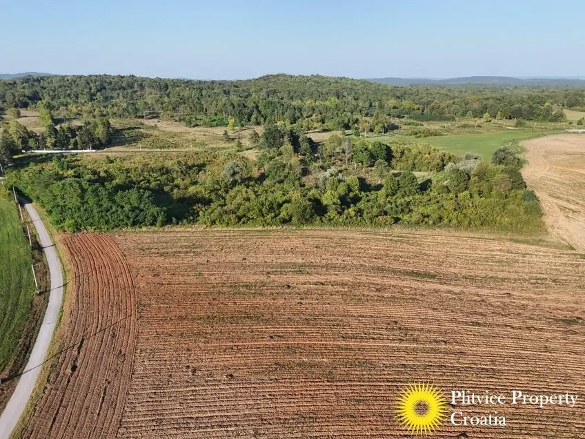 dji_fly_20250813_182406_0104_1756122772280_photo