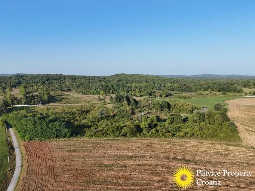 dji_fly_20250813_182410_0105_1756122771804_photo