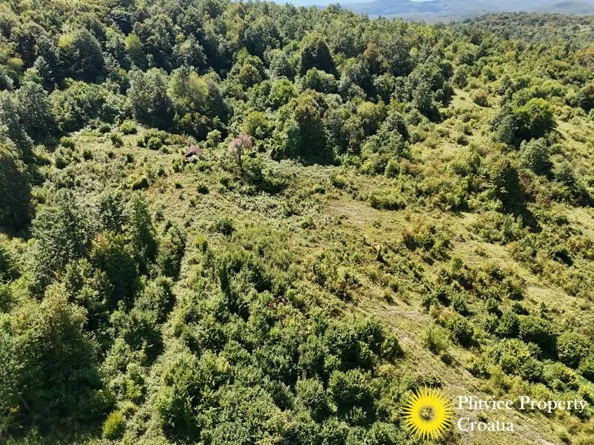 dji_fly_20250825_131916_0112_1756122786639_photo