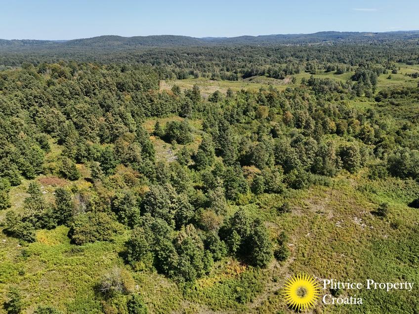 dji_fly_20250825_131954_0113_1756122785969_photo