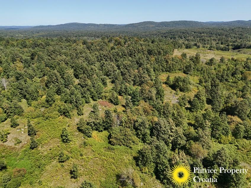 dji_fly_20250825_131956_0114_1756122785392_photo