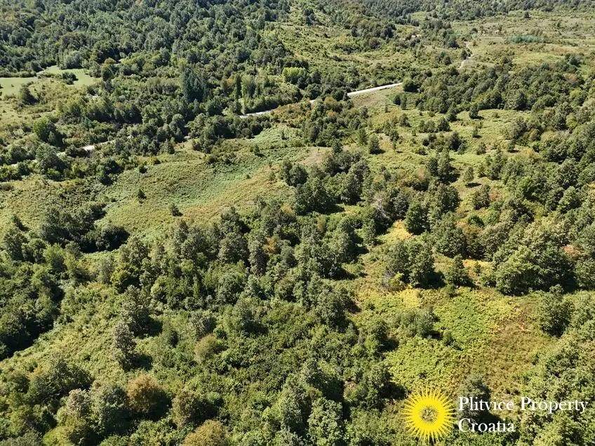 dji_fly_20250825_132110_0115_1756122784814_photo