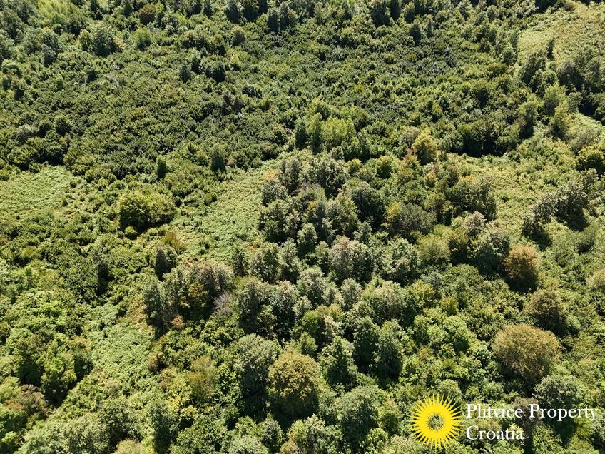 dji_fly_20250825_132124_0116_1756122784213_photo