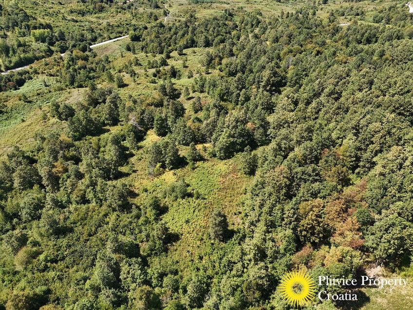 dji_fly_20250825_132128_0117_1756122783612_photo