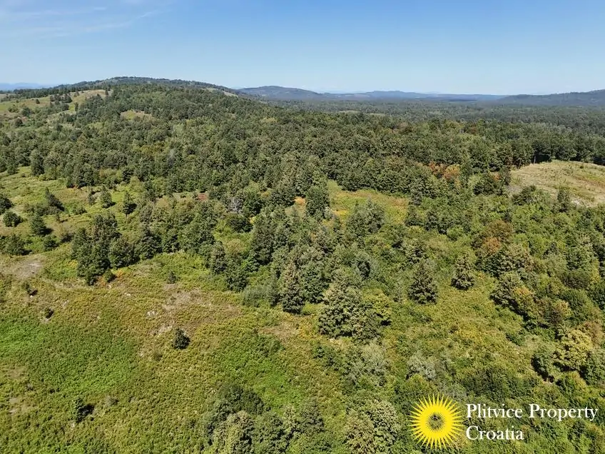 dji_fly_20250825_132204_0118_1756122782863_photo