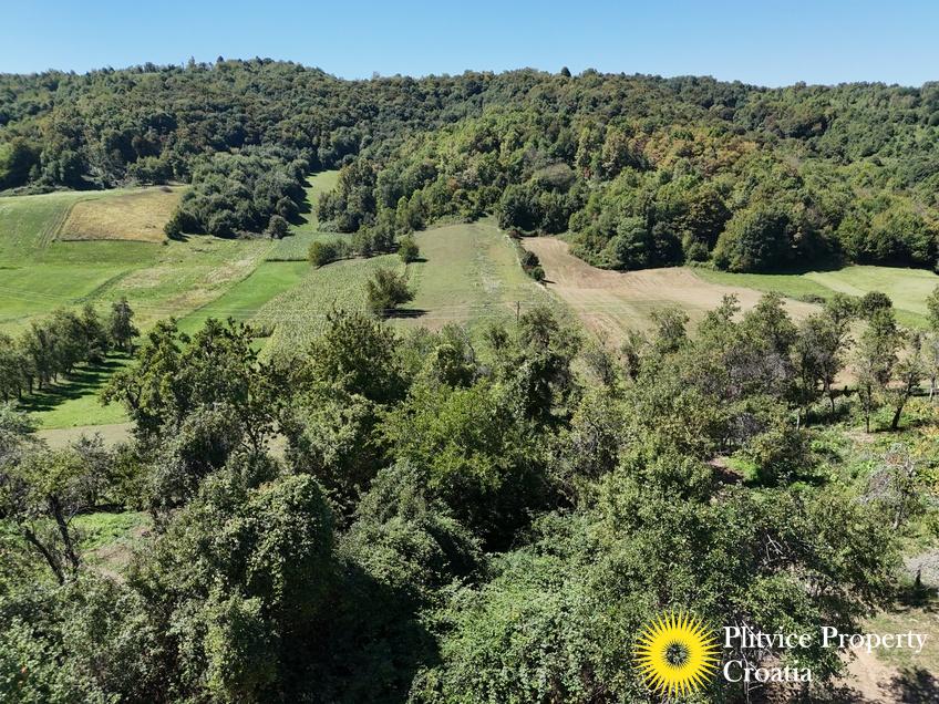 dji_fly_20250826_123758_0125_1756209132130_photo